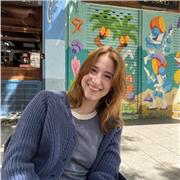 Doy clases particulares económicas para historia y similares